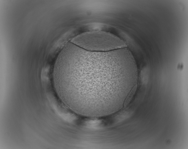 X0000112970217200909031053