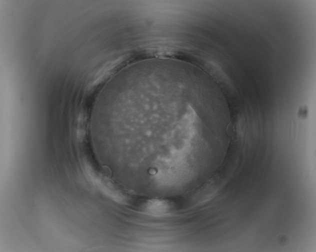 X0000112970218200909031053