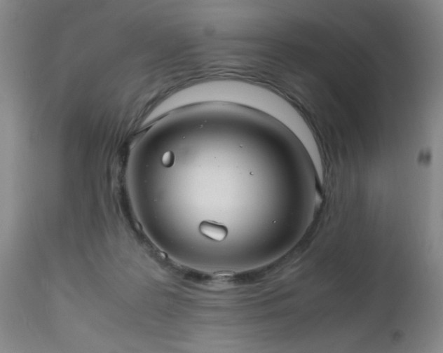 X0000112970219200909031053