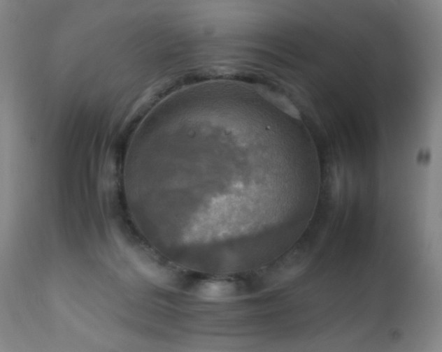 X0000112970220200909031053