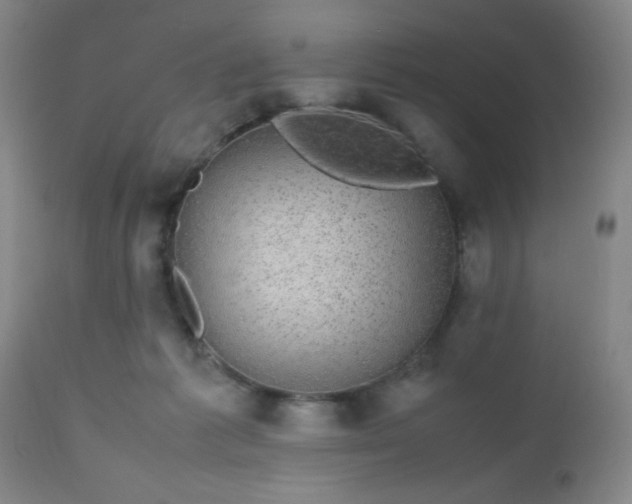 X0000112970221200909031053