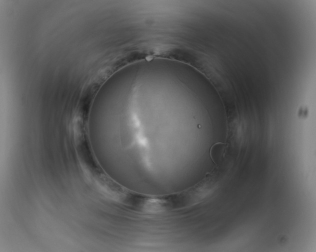 X0000112970222200909031053