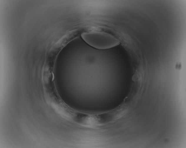 X0000112970223200909031053