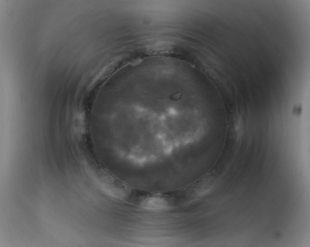 X0000112970224200909031053