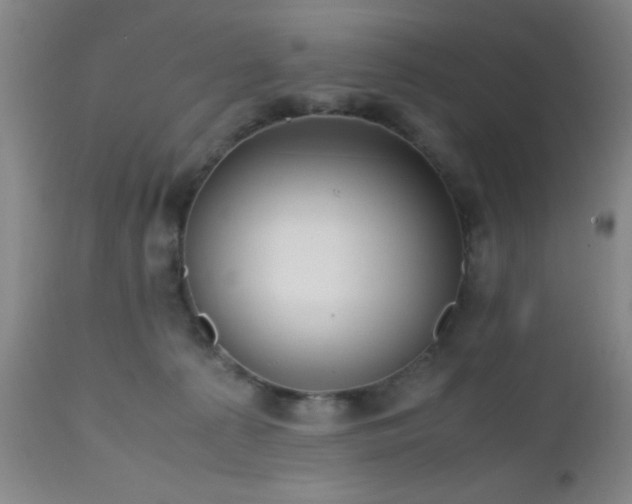 X0000112970225200909031053