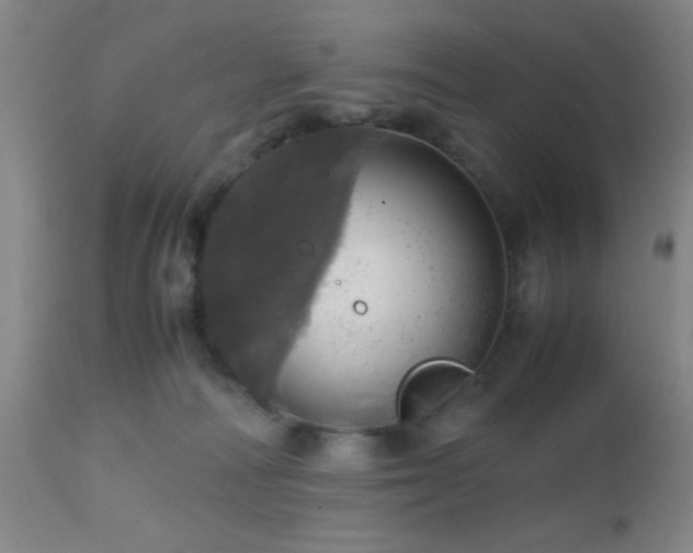 X0000112970226200909031053