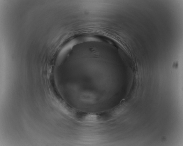 X0000112970227200909031053