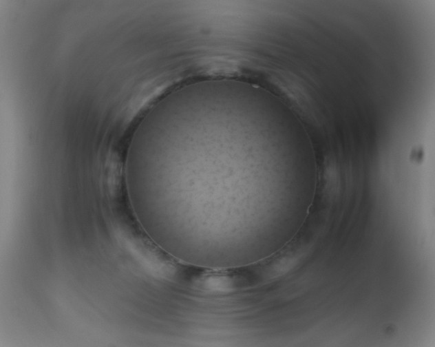 X0000112970228200909031053