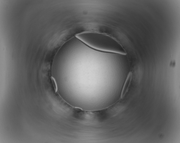 X0000112970229200909031053