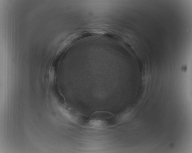 X0000112970231200909031053