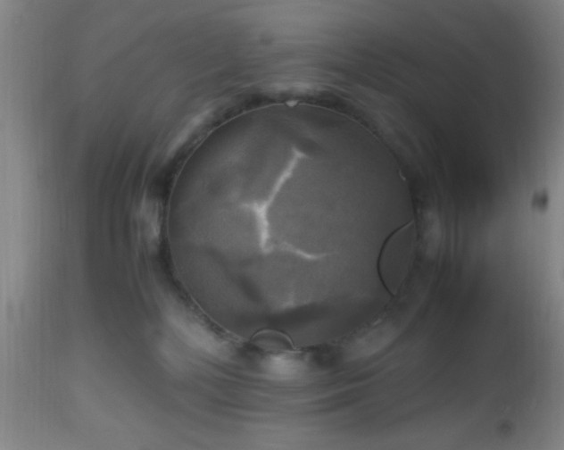 X0000112970232200909031053