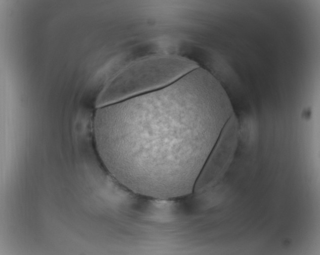 X0000112970233200909031053