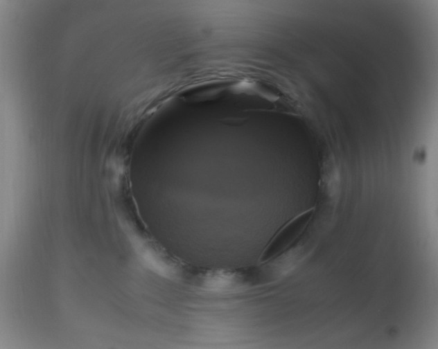 X0000112970235200909031053