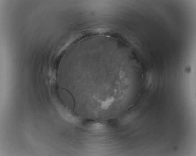 X0000112970236200909031053