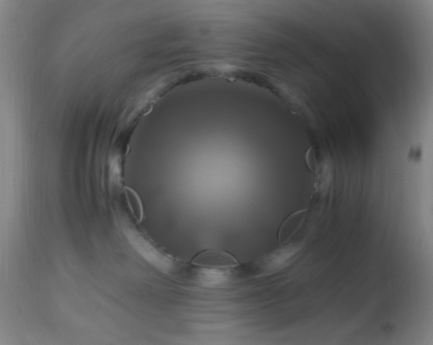 X0000112970238200909031053