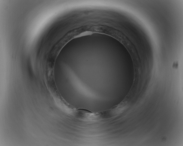 X0000112970239200909031053