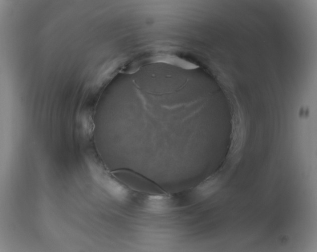 X0000112970240200909031053