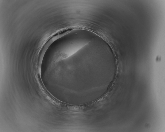 X0000112970241200909031052