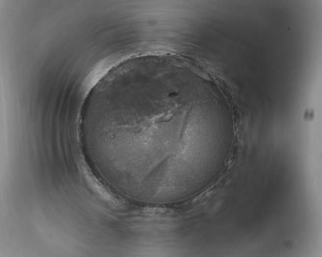 X0000112970242200909031052