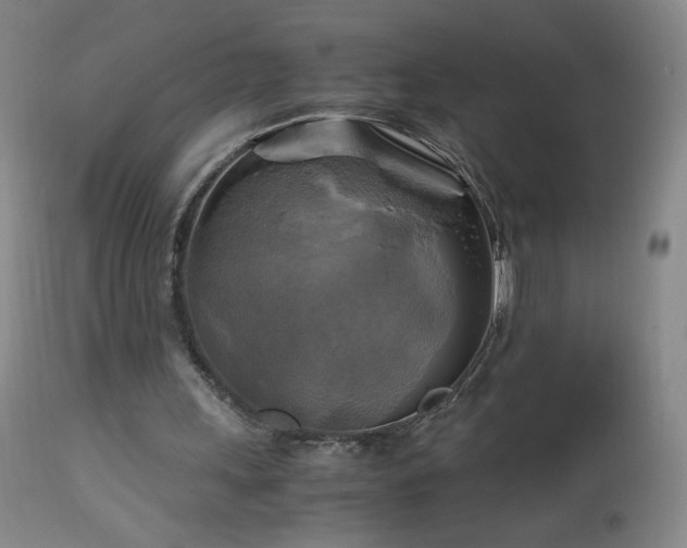 X0000112970243200909031052