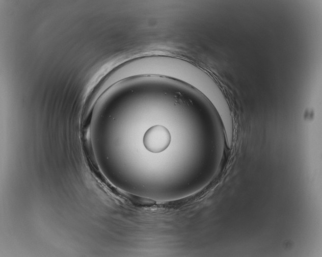 X0000112970244200909031052