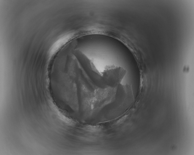 X0000112970245200909031052