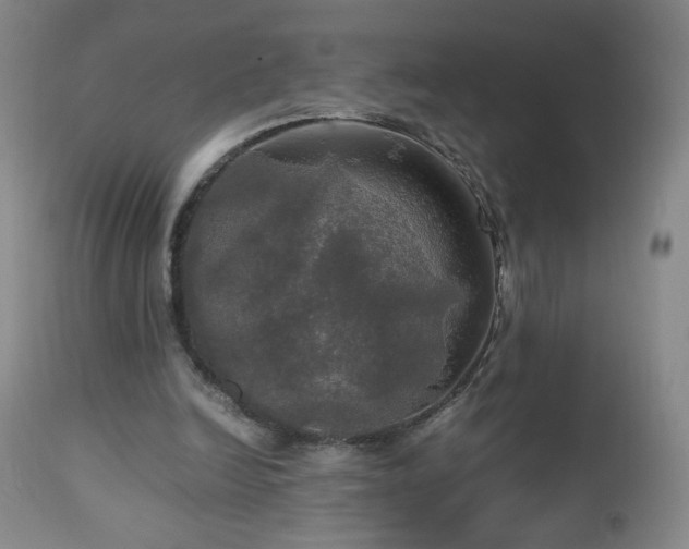 X0000112970246200909031052