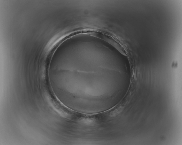 X0000112970247200909031052