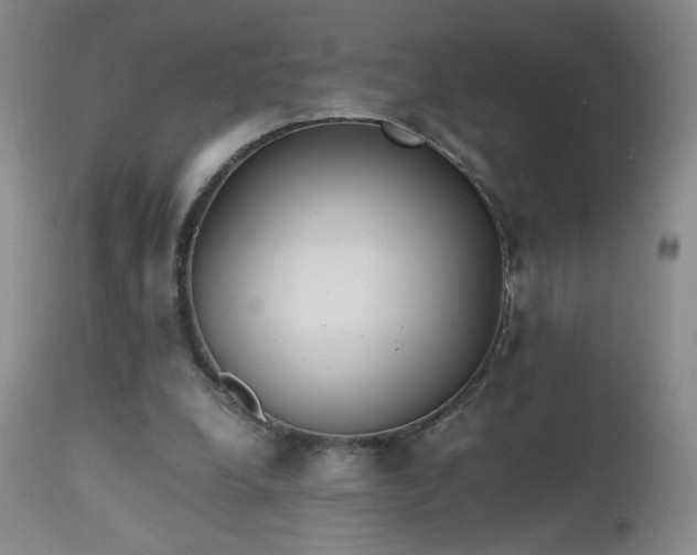 X0000112970248200909031052