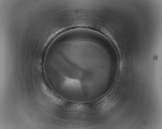 X0000112970249200909031052