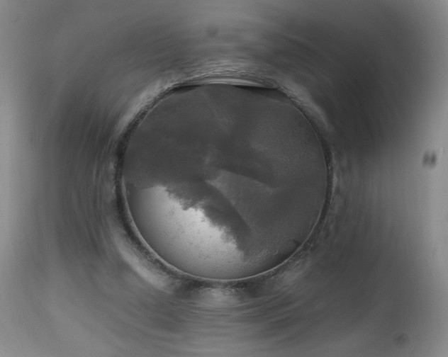 X0000112970250200909031052