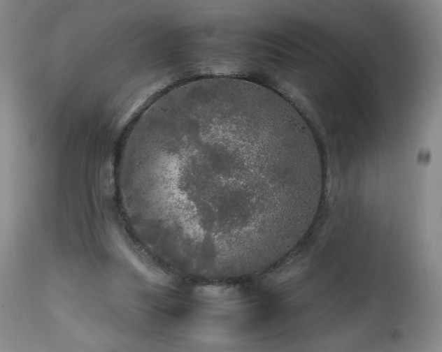 X0000112970251200909031052