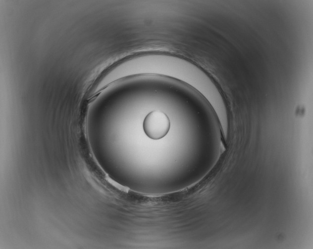 X0000112970252200909031052