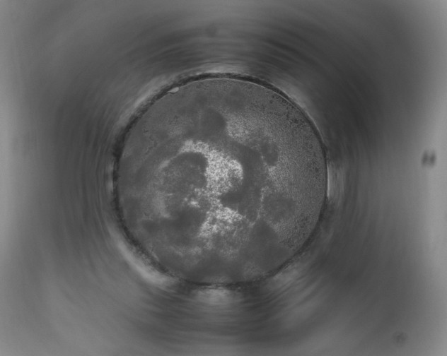 X0000112970253200909031052