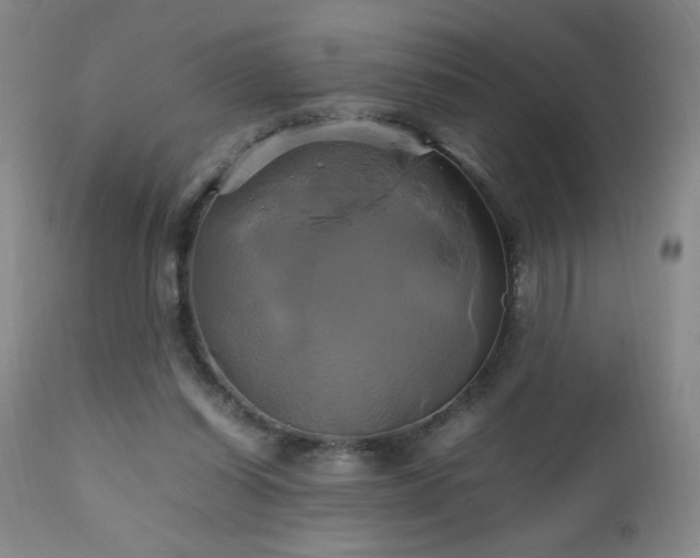 X0000112970254200909031052