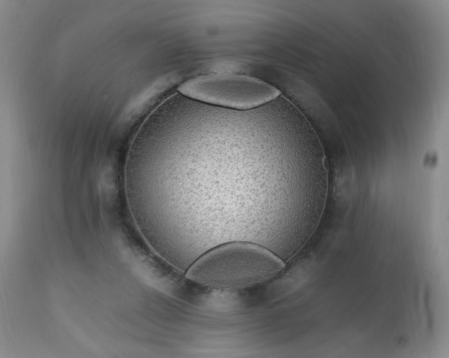 X0000112970256200909031052