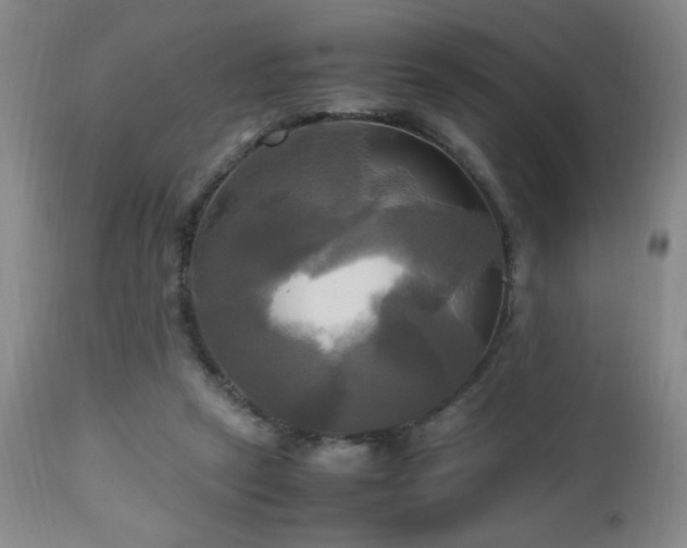 X0000112970257200909031052