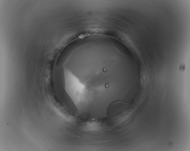 X0000112970259200909031052