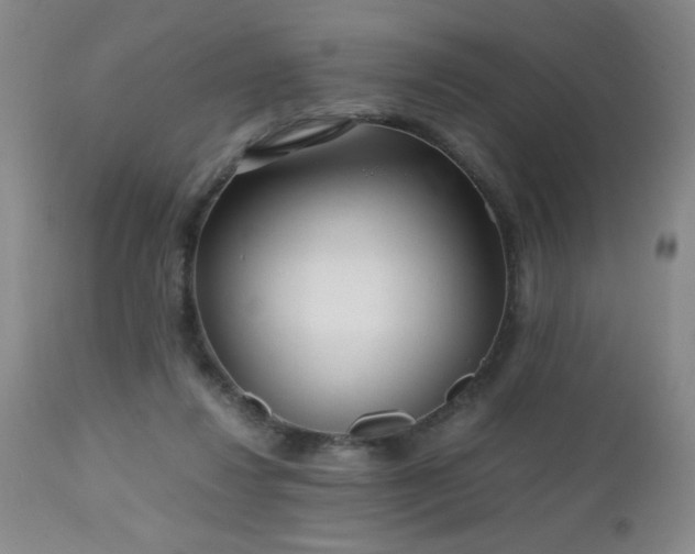 X0000112970260200909031052