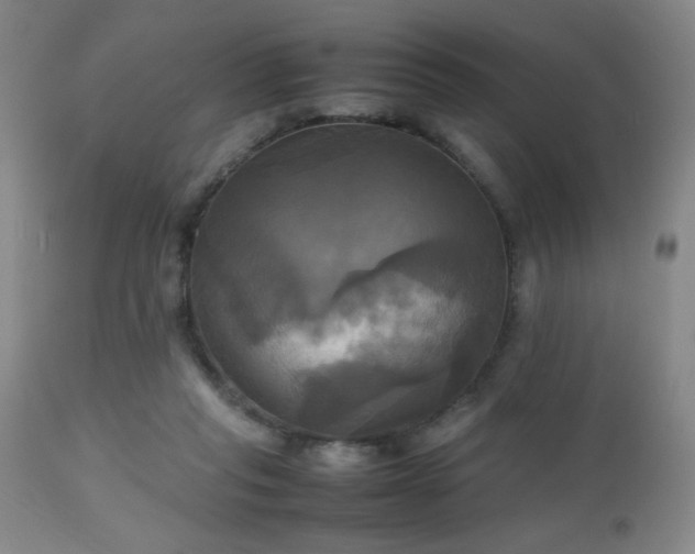 X0000112970261200909031052