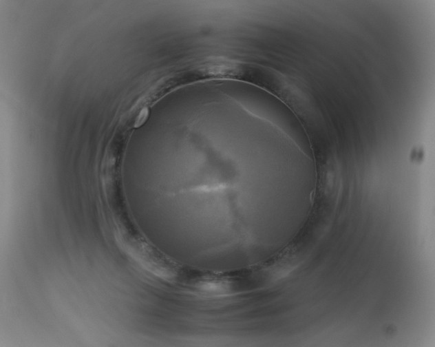 X0000112970263200909031052