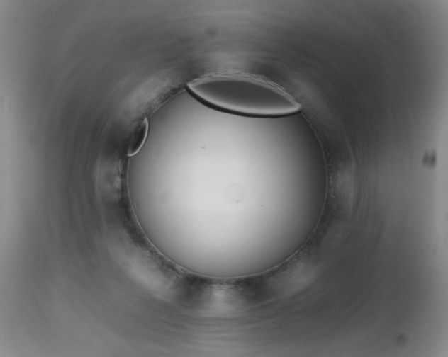 X0000112970264200909031052