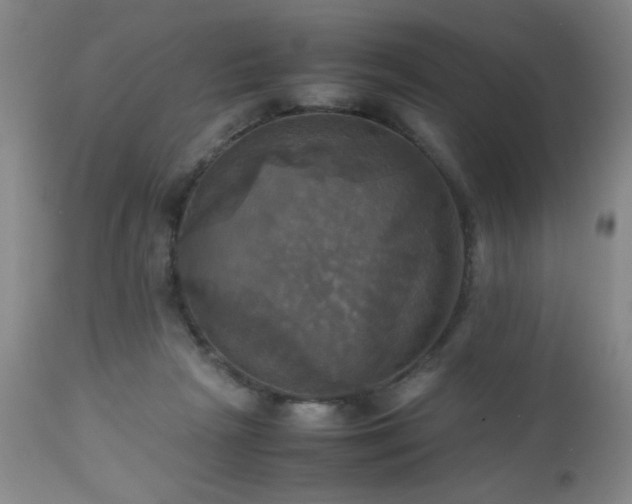 X0000112970265200909031052