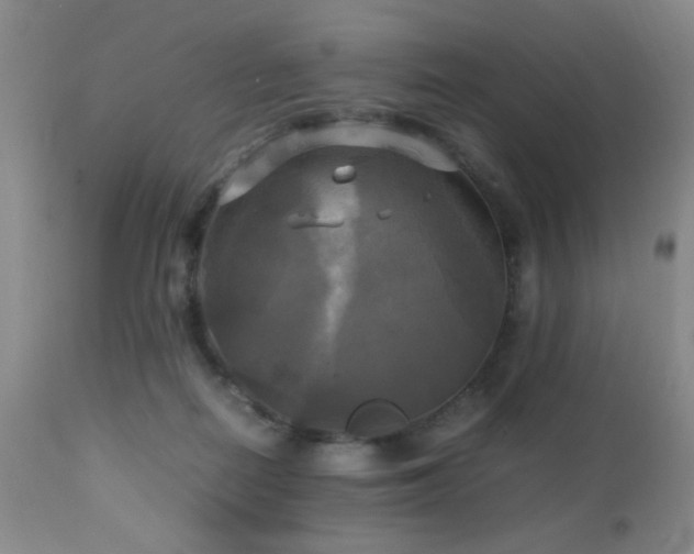 X0000112970266200909031052