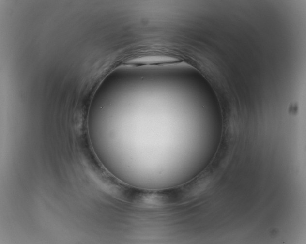 X0000112970268200909031052