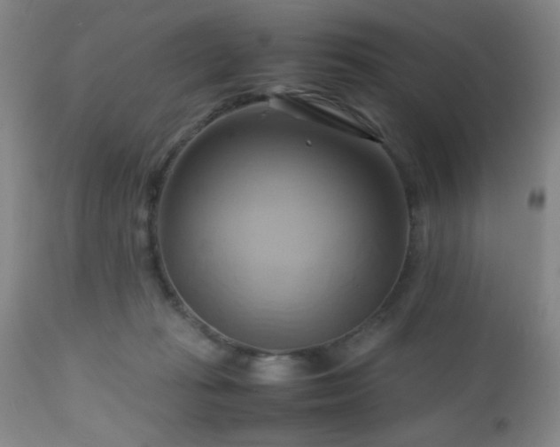 X0000112970269200909031052