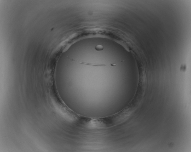 X0000112970270200909031052