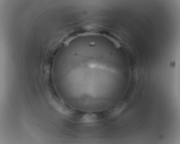 X0000112970271200909031052