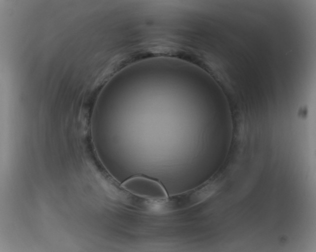 X0000112970273200909031052