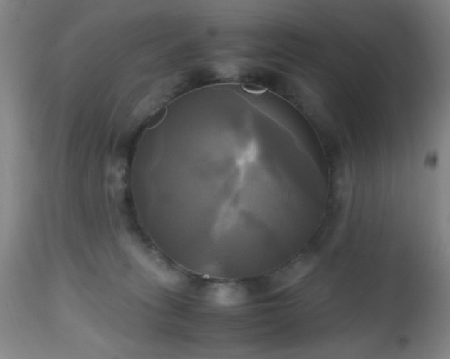 X0000112970275200909031052